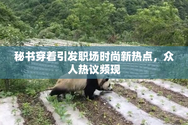 秘书穿着引发职场时尚新热点，众人热议频现