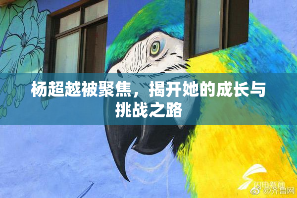 杨超越被聚焦，揭开她的成长与挑战之路