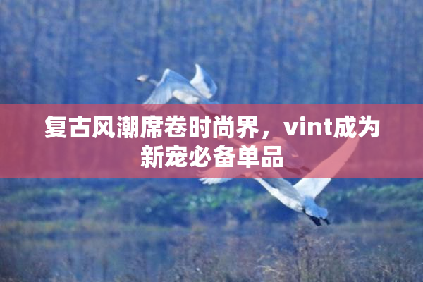 复古风潮席卷时尚界，vint成为新宠必备单品