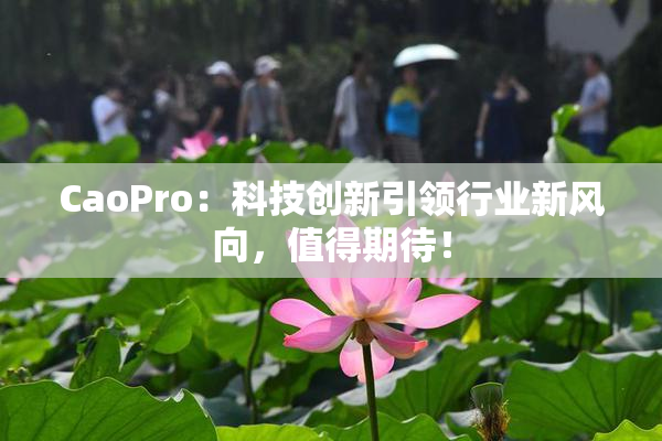 CaoPro：科技创新引领行业新风向，值得期待！