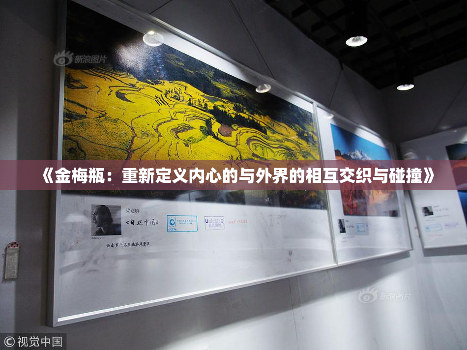《金梅瓶：重新定义内心的与外界的相互交织与碰撞》