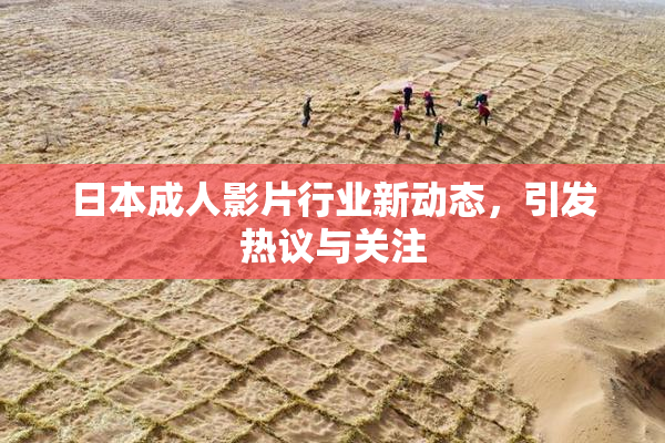 日本成人影片行业新动态，引发热议与关注