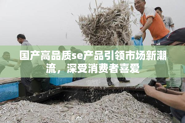 国产高品质se产品引领市场新潮流，深受消费者喜爱