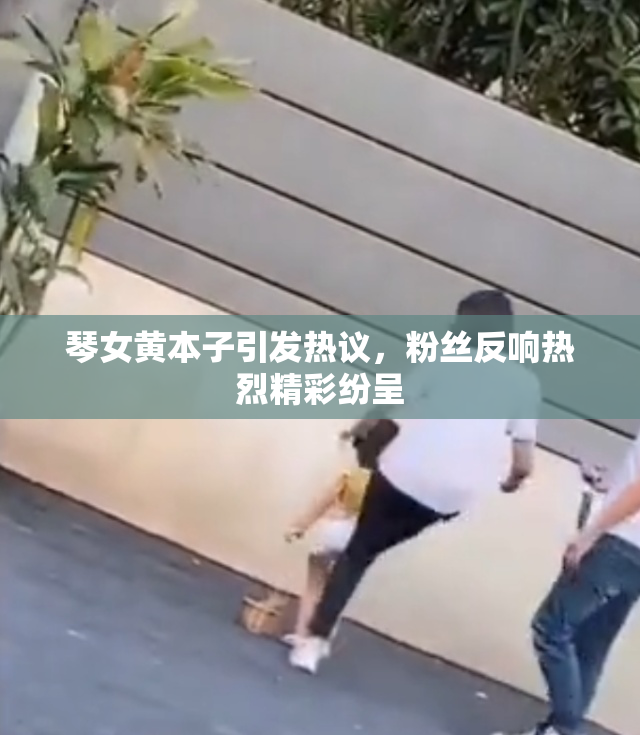 琴女黄本子引发热议，粉丝反响热烈精彩纷呈