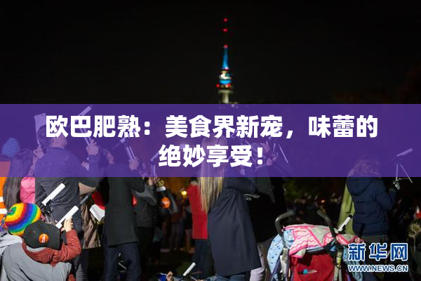欧巴肥熟：美食界新宠，味蕾的绝妙享受！