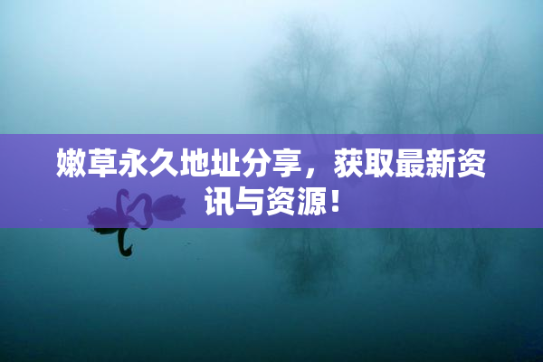 嫩草永久地址分享，获取最新资讯与资源！