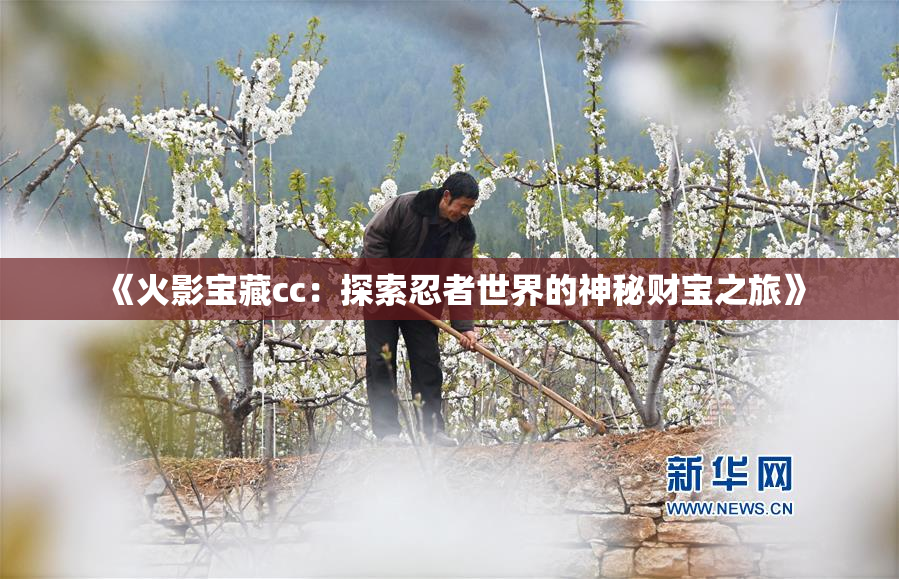 《火影宝藏cc：探索忍者世界的神秘财宝之旅》