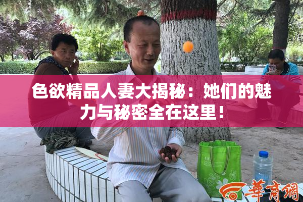 色欲精品人妻大揭秘：她们的魅力与秘密全在这里！