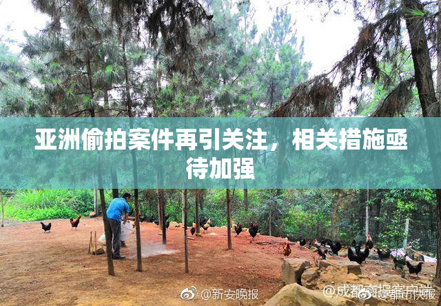 亚洲偷拍案件再引关注，相关措施亟待加强