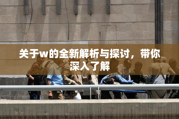 关于w的全新解析与探讨，带你深入了解