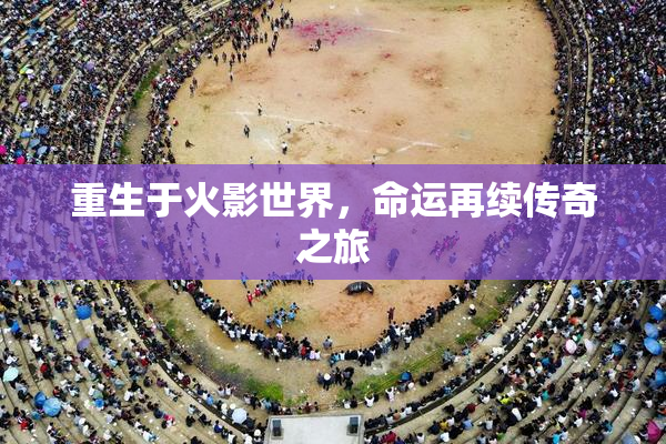 重生于火影世界，命运再续传奇之旅