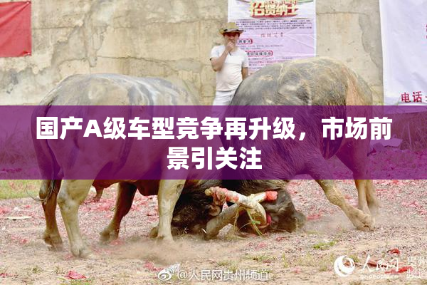 国产A级车型竞争再升级，市场前景引关注