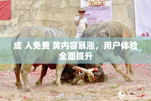 成 人免费 黄内容暴涨，用户体验全面提升