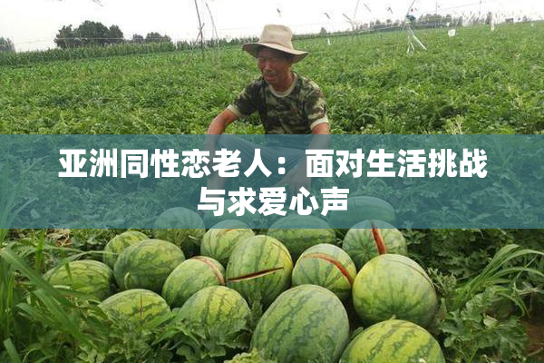 亚洲同性恋老人：面对生活挑战与求爱心声