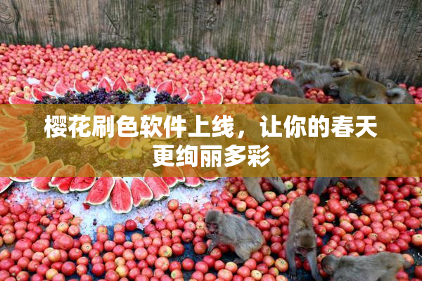 樱花刷色软件上线，让你的春天更绚丽多彩