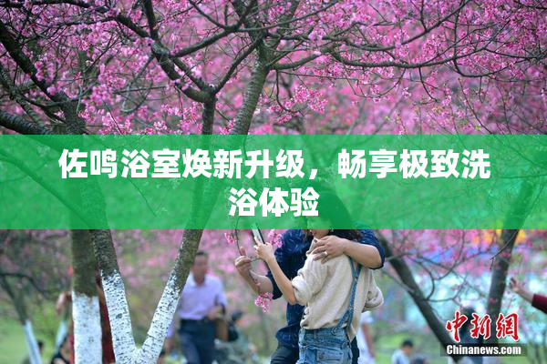 佐鸣浴室焕新升级，畅享极致洗浴体验
