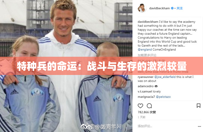 特种兵的命运：战斗与生存的激烈较量