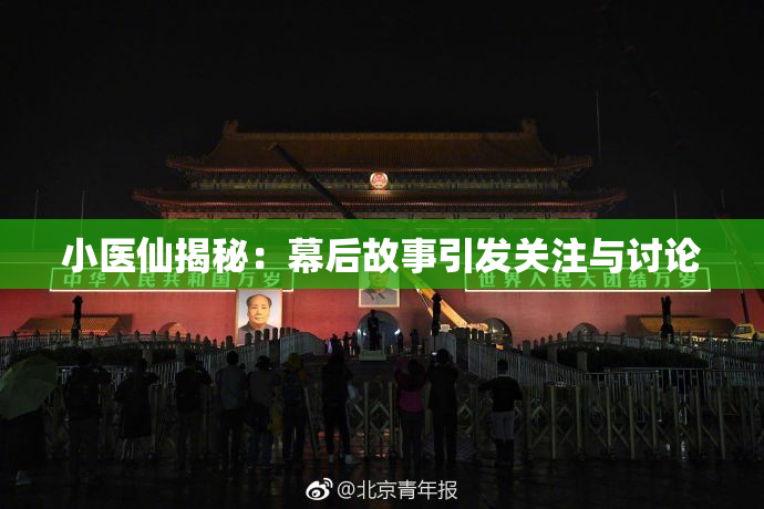 小医仙揭秘：幕后故事引发关注与讨论