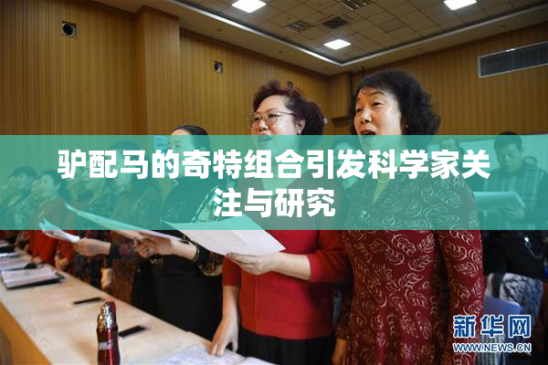 驴配马的奇特组合引发科学家关注与研究