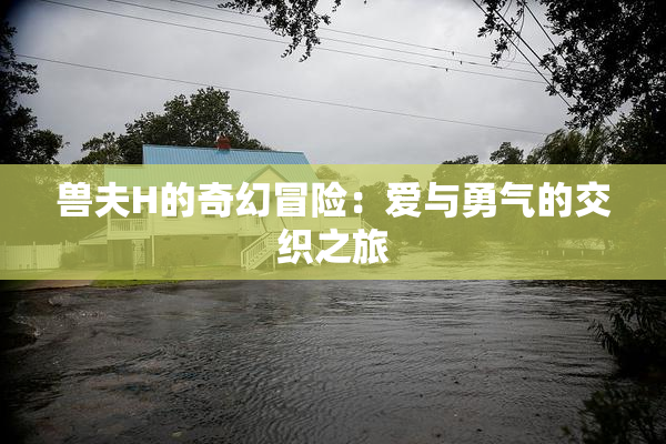 兽夫H的奇幻冒险：爱与勇气的交织之旅