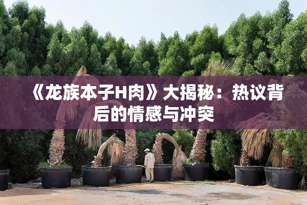 《龙族本子H肉》大揭秘：热议背后的情感与冲突