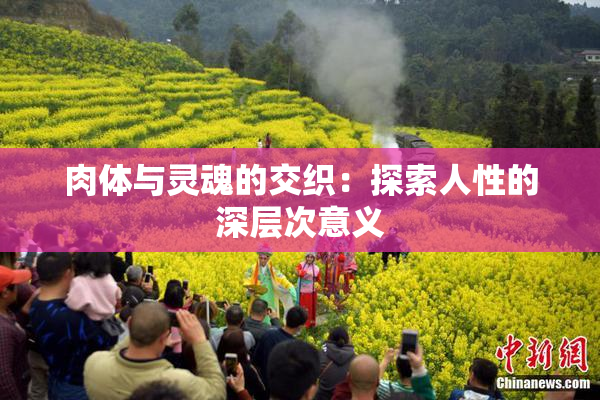 肉体与灵魂的交织：探索人性的深层次意义