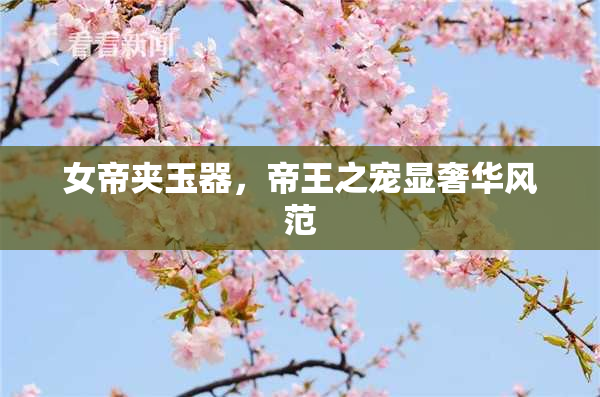 女帝夹玉器，帝王之宠显奢华风范