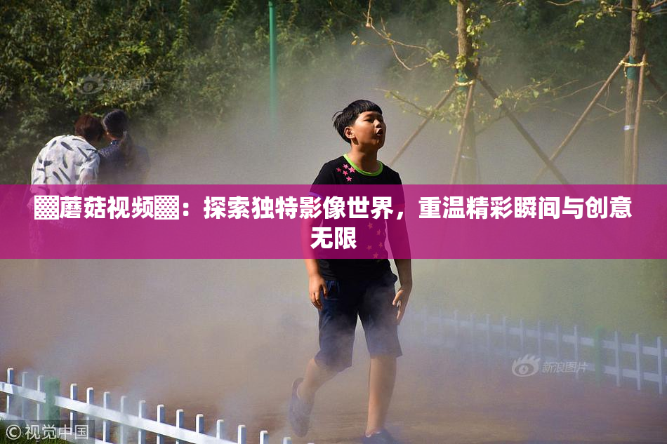 ▓蘑菇视频▓：探索独特影像世界，重温精彩瞬间与创意无限
