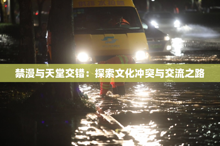 禁漫与天堂交错：探索文化冲突与交流之路