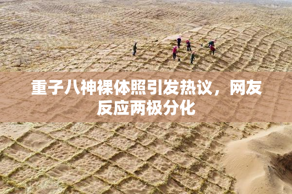 重子八神裸体照引发热议，网友反应两极分化