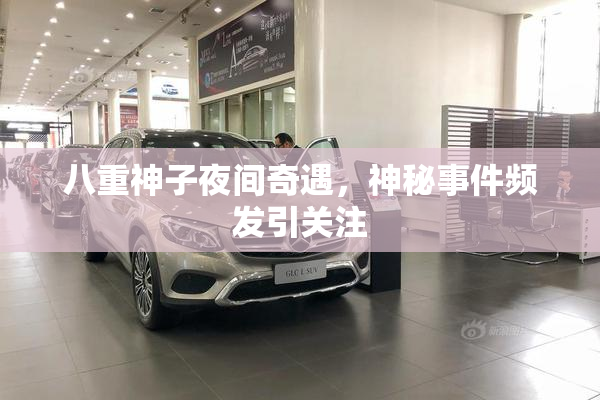 八重神子夜间奇遇，神秘事件频发引关注
