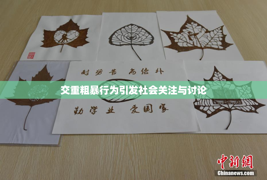 交重粗暴行为引发社会关注与讨论