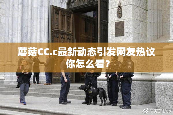 蘑菇CC.c最新动态引发网友热议 你怎么看？