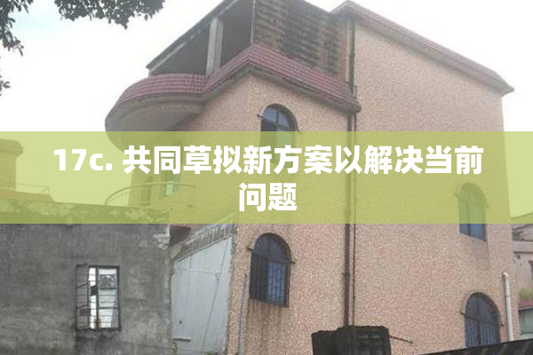 17c. 共同草拟新方案以解决当前问题