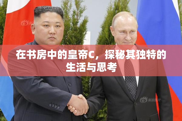 在书房中的皇帝C，探秘其独特的生活与思考