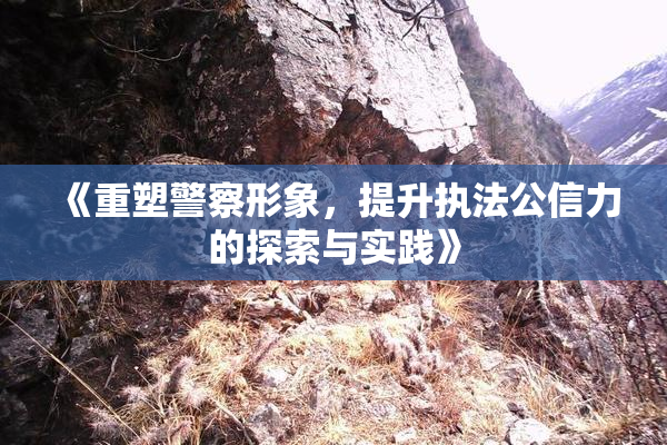 《重塑警察形象，提升执法公信力的探索与实践》