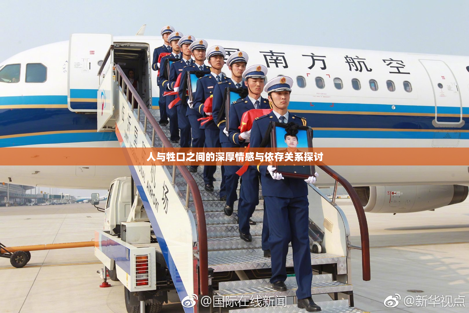 人与牲口之间的深厚情感与依存关系探讨