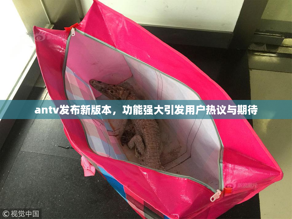 antv发布新版本，功能强大引发用户热议与期待