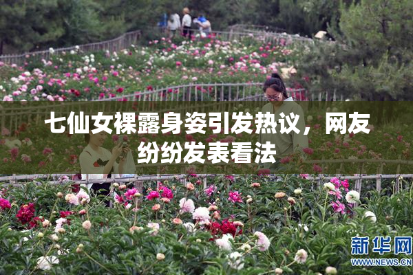 七仙女裸露身姿引发热议，网友纷纷发表看法