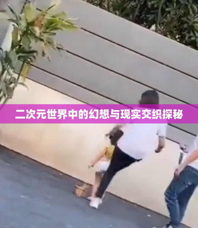 二次元世界中的幻想与现实交织探秘