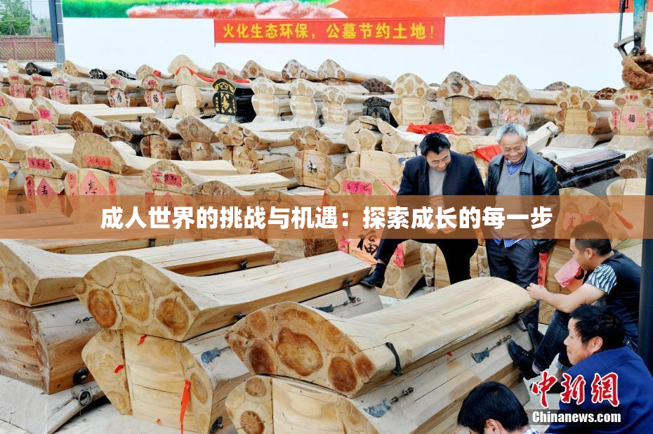成人世界的挑战与机遇：探索成长的每一步