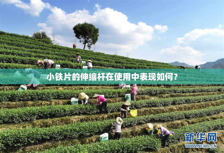 小铁片的伸缩杆在使用中表现如何？