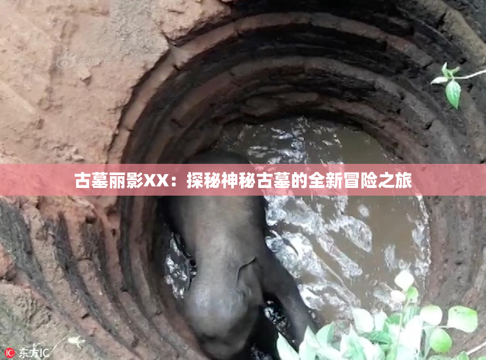 古墓丽影XX：探秘神秘古墓的全新冒险之旅