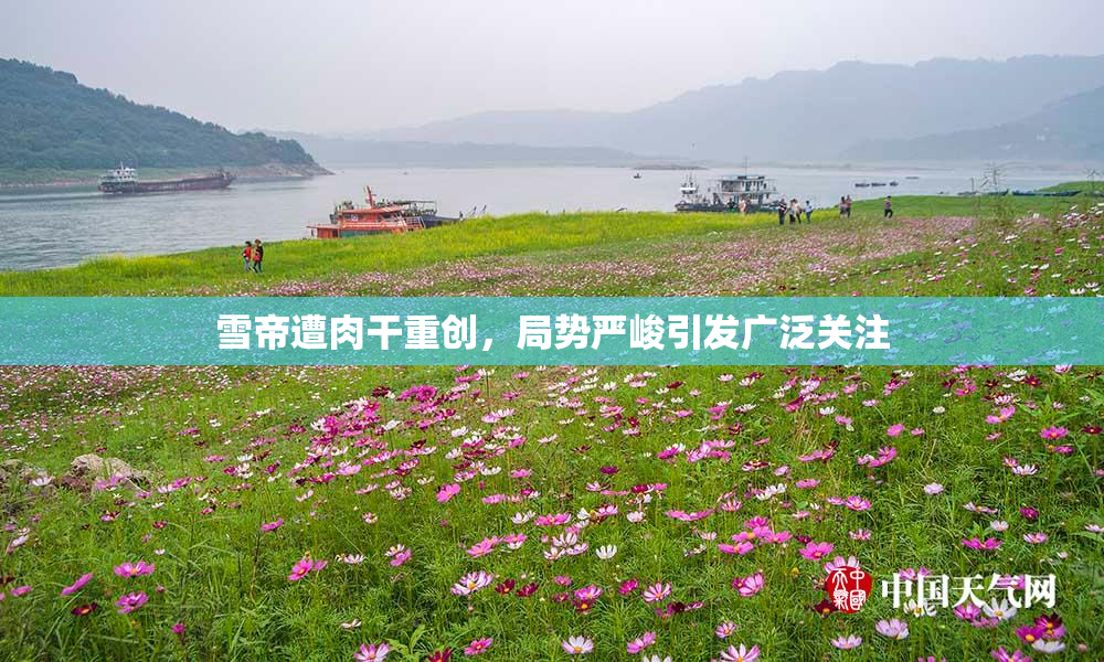 雪帝遭肉干重创，局势严峻引发广泛关注