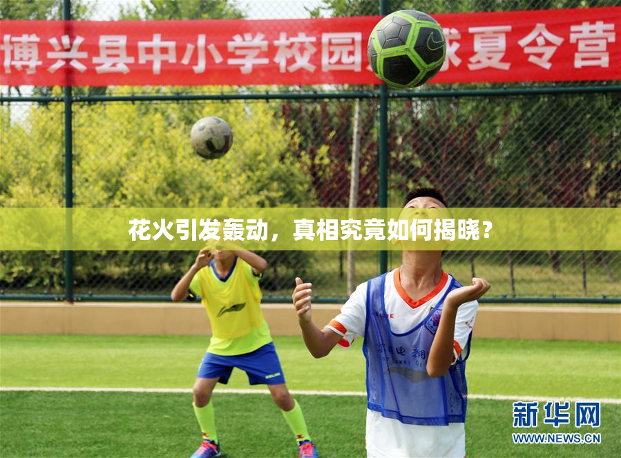 花火引发轰动，真相究竟如何揭晓？