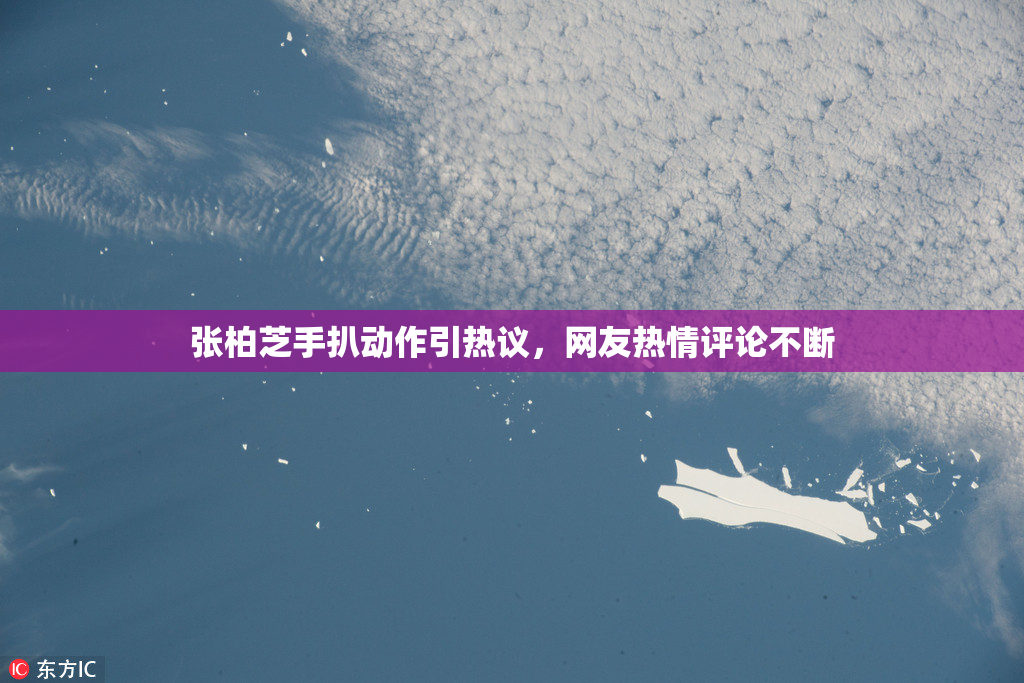 张柏芝手扒动作引热议，网友热情评论不断