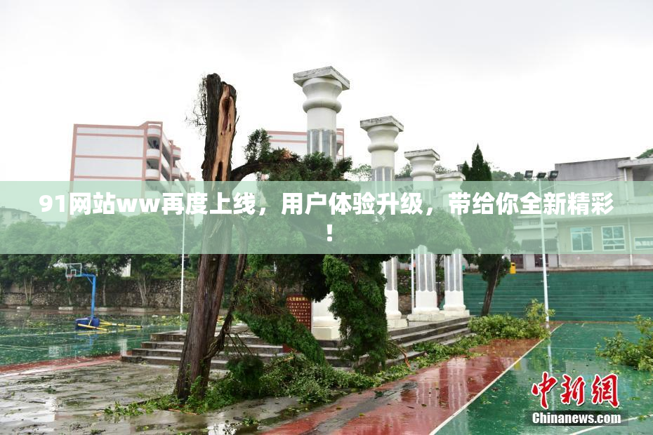 91网站ww再度上线，用户体验升级，带给你全新精彩！