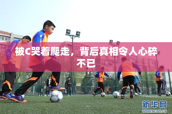 被C哭着爬走，背后真相令人心碎不已