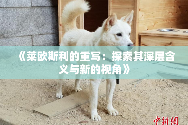 《莱欧斯利的重写：探索其深层含义与新的视角》