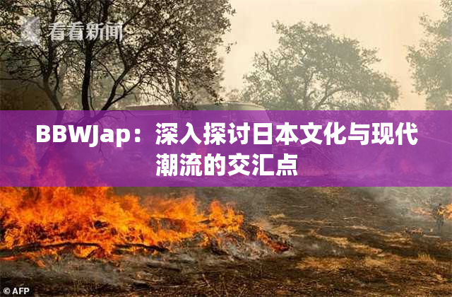 BBWJap：深入探讨日本文化与现代潮流的交汇点